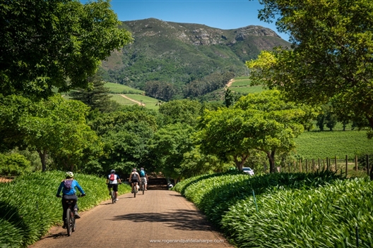 Constantia Valley and Winelands Ebike tour